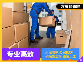 專業貨車運輸與搬運服務 滿足多元需求的貼心選擇