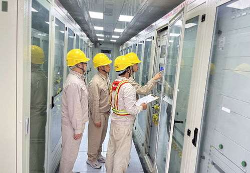 國網(wǎng)安岳縣供電公司 黨建帶團(tuán)建賦能 人工搬運服務(wù)助力重大項目建設(shè)