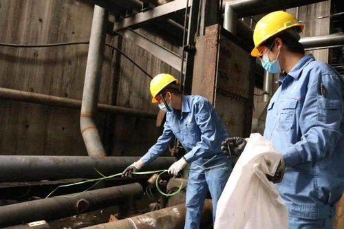 青春在檢修現(xiàn)場閃光 公司機(jī)關(guān)青年突擊隊助力裝置大修，以擔(dān)當(dāng)詮釋責(zé)任